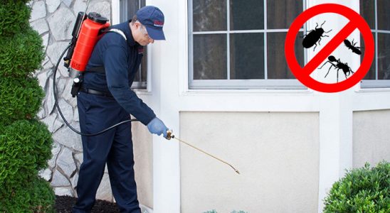 Yayladağı Karınca İlaçlama böcek ilaçlama ve haşere kontrolü — ilaclama-tr.com